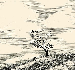 arbre